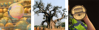 Grafiken und Fotos zum Workshop: Wir entdecken fantastische Welten. Weltkugeln, ein afrikanischer Baobab-Baum, ein merkwürdiges Objekt...